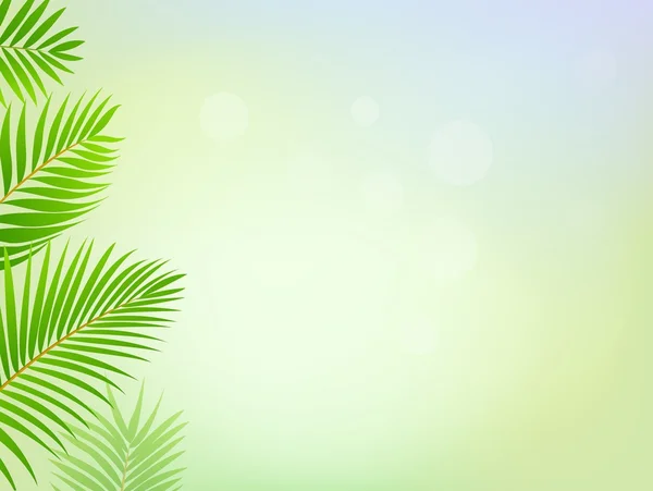 Palm tree ram bakgrunden — Stock vektor