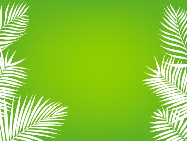 palmiye ağacı çerçeve arka plan