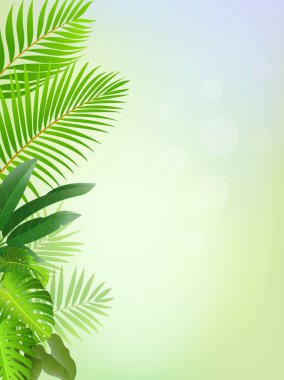 Tropical forest background clipart