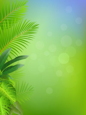 Tropical forest background clipart