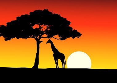 African Sunset background with giraffe clipart