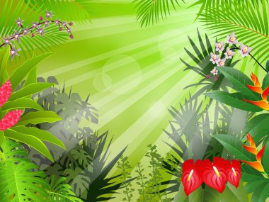 Beautiful tropical forest background clipart