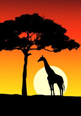 African Sunset background with giraffe clipart