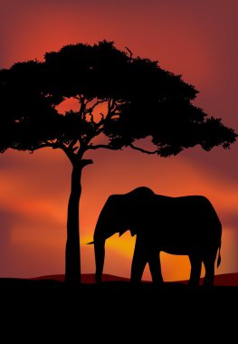 African Sunset background with elephant clipart