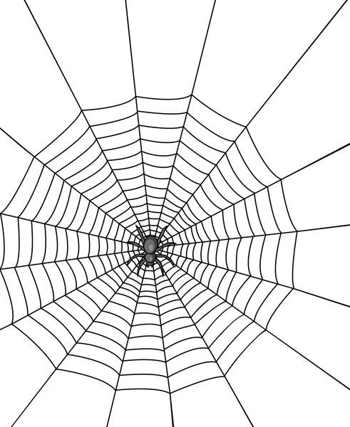 stock vector Spider Web