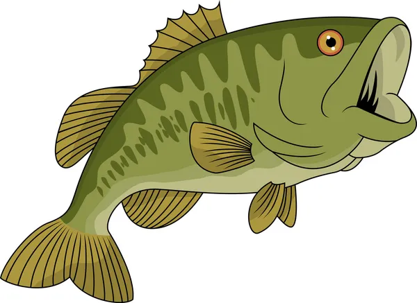 Bass Fish — Stock Vector