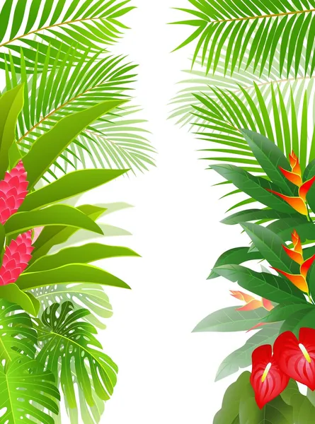 Beautiful tropical forest background — Stock Vector