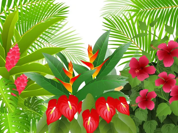 Beau fond de forêt tropicale — Image vectorielle