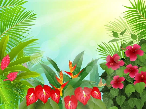 Mooie tropische bos achtergrond — Stockvector