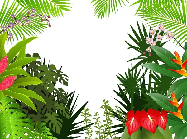 Schönen tropischen Wald Hintergrund — Stockvektor