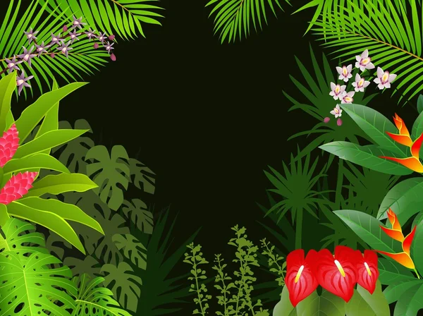 熱帯森林の美しい背景 — ストックベクタ