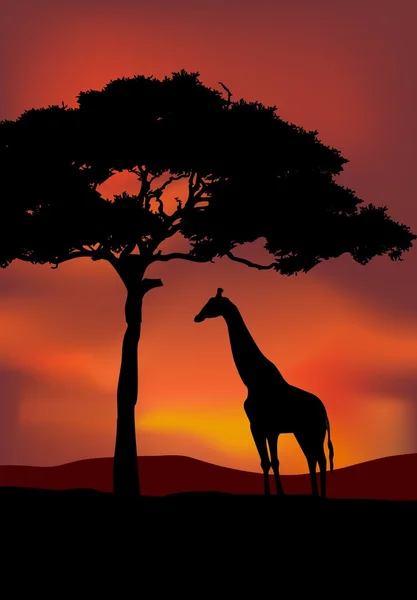 Atardecer africano fondo con jirafa — Vector de stock