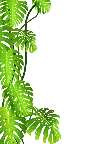 Tropical leaf backgound — Stock vektor