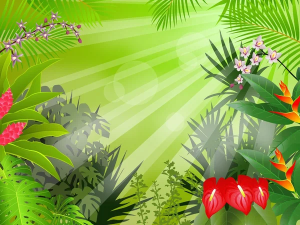 áˆ Rainforest Drawing Stock Pictures Royalty Free Amazon Rainforest Images Download On Depositphotos Find & download free graphic resources for tropical rainforest. royalty free amazon rainforest images