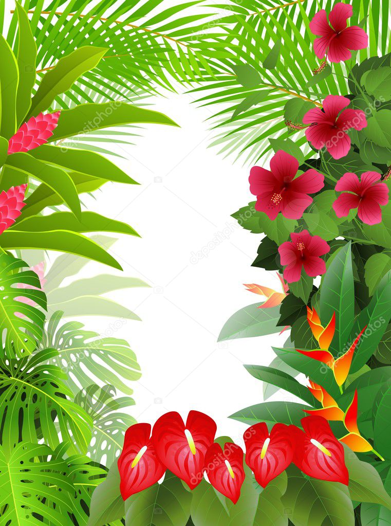 Beautiful tropical forest background