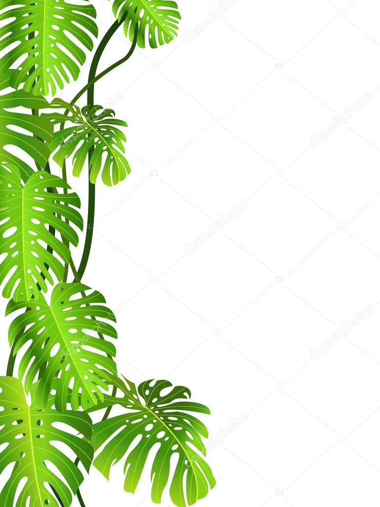 Tropical leaf backgound