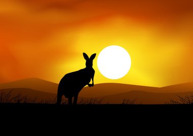 Kanguru günbatımı arka planda