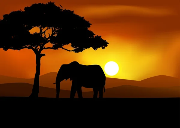 Fondo de atardecer africano con elefante — Vector de stock
