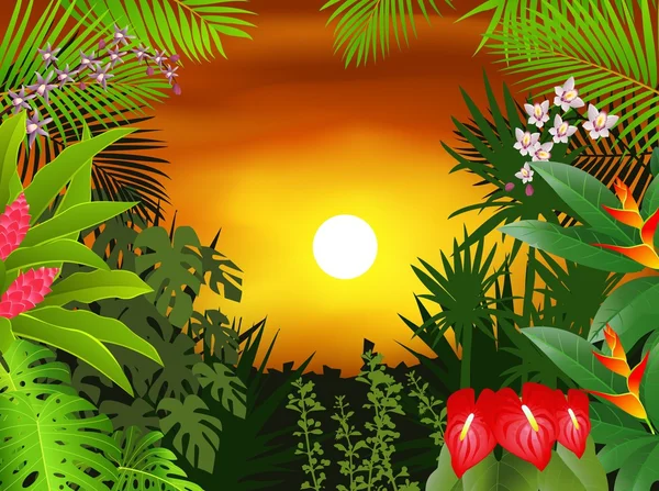 Tropik orman geçmişi — Stok Vektör