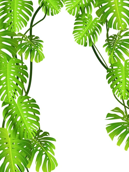 Feuille tropicale de fond — Image vectorielle
