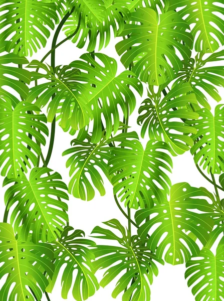 Tropikal yaprak arka plan — Stok Vektör