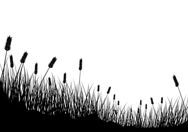 Grass Background — Stock Vector