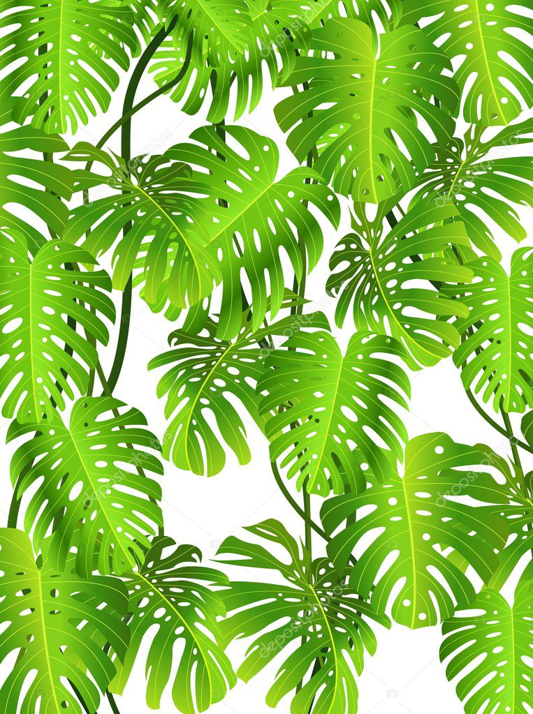 Tropical leaf background