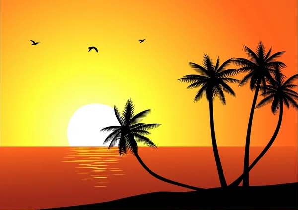热带海滩日落 — 图库矢量图片