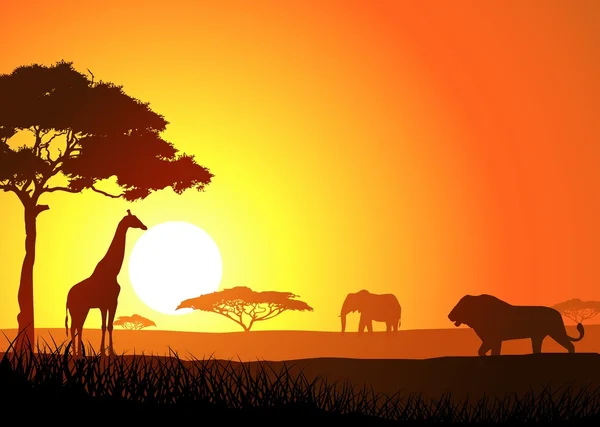 Safari-Hintergrund — Stockvektor