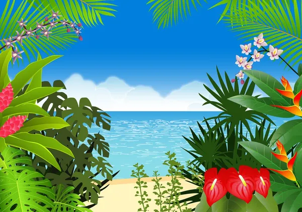 热带海滩背景 — 图库矢量图片