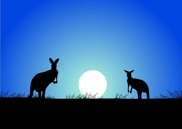 Känguru auf dem Hintergrund des Sonnenuntergangs — Stockvektor