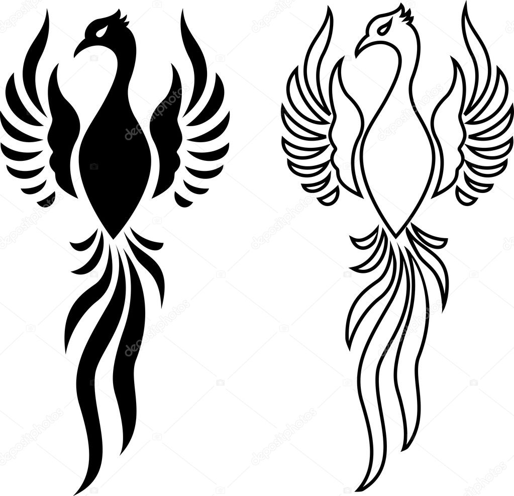 Premium Vector | Vector phoenix tattoo a symbol of rebirth and renewal