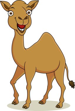 Funny camel cartoon clipart