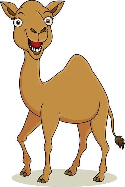 Забавный верблюжий мультфильм — стоковый вектор