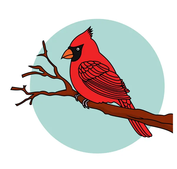 红色的小鸟红衣主教 — 图库矢量图片