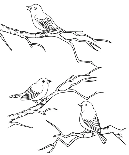 나뭇가지에 앉아 있는 새 — 스톡 벡터