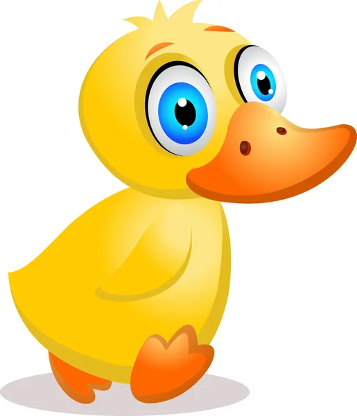 Baby Duck — Stock Vector
