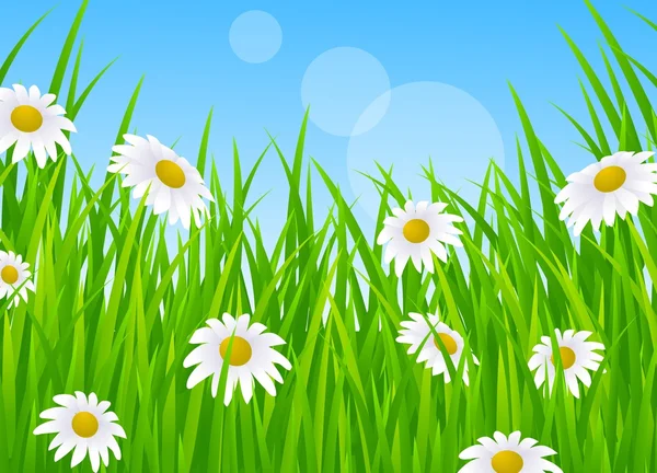 Paysage avec herbe — Image vectorielle