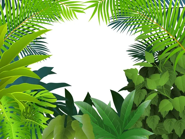 Feuille tropicale de fond — Image vectorielle