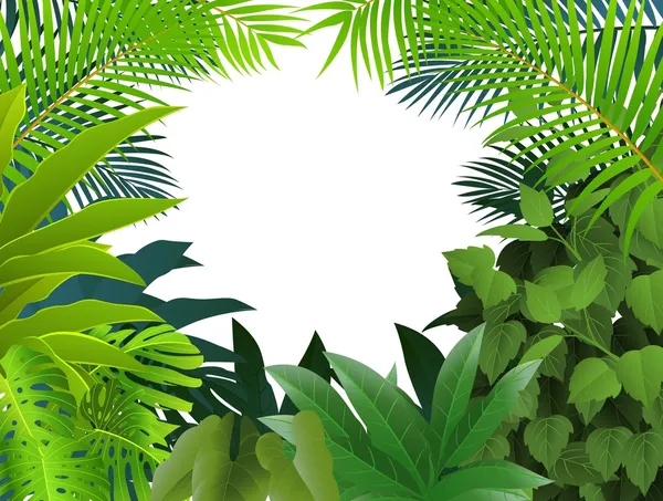 热带树叶背景 图库插图