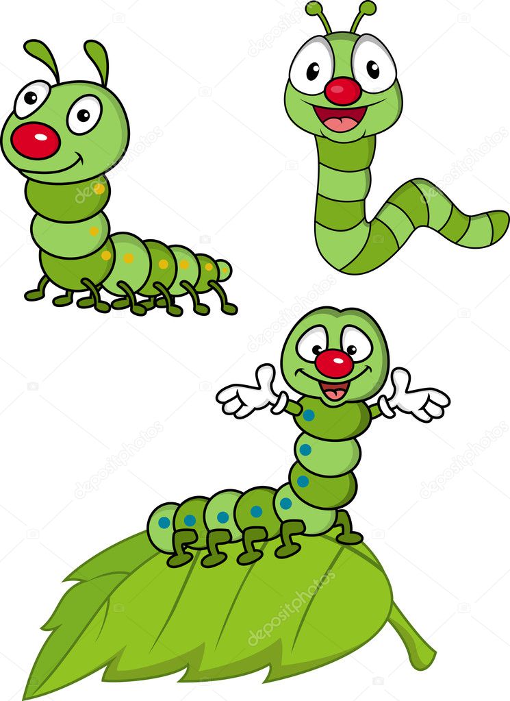 Coleções De Lagartas De Cartoons Larva Verde Conjunto De Lagartas  Ilustração do Vetor - Ilustração de praga, minhoca: 218729407