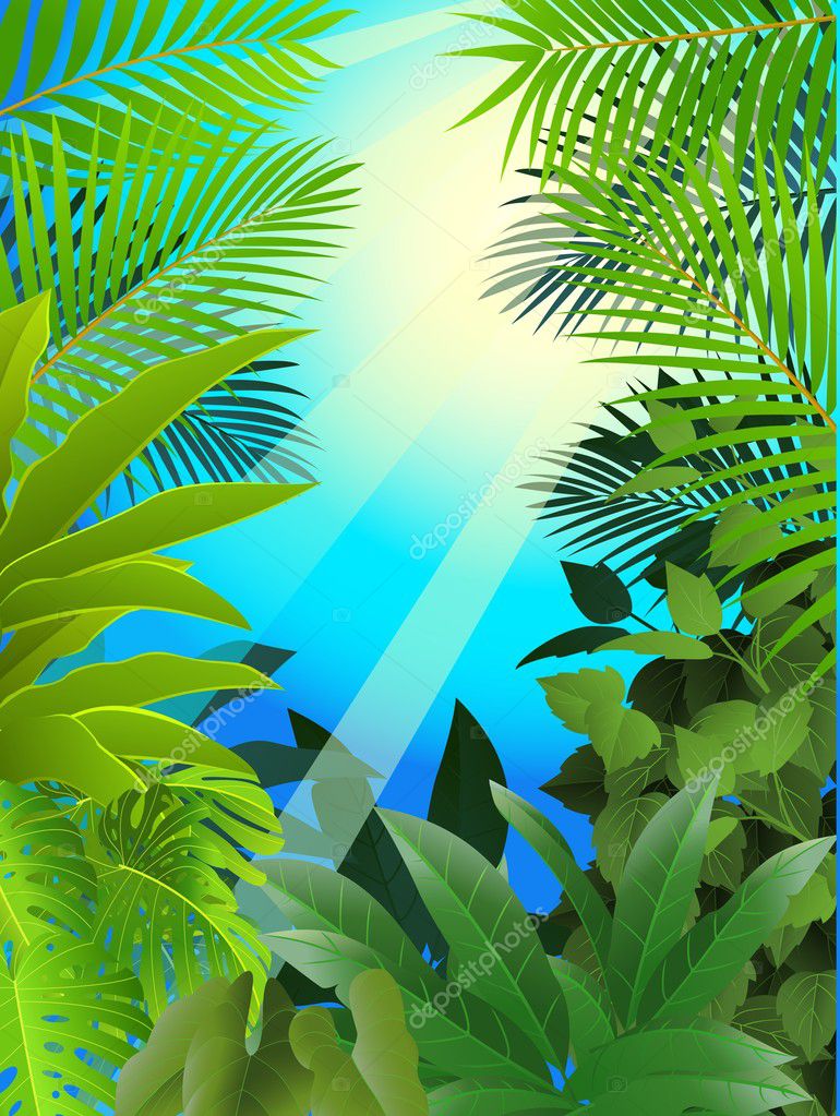Jungle background Vector Art Stock Images | Depositphotos