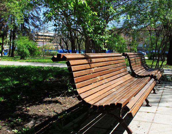 公園内のベンチは — ストック写真