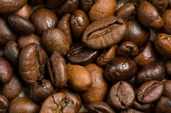 Coffee beans — Stock Photo, Image