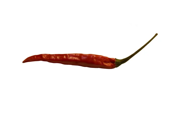 Röd peppar — Stockfoto