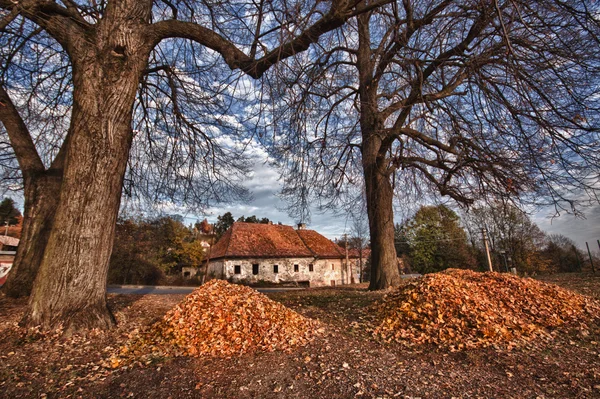 eski bina yakınındaki sonbahar ıhlamur