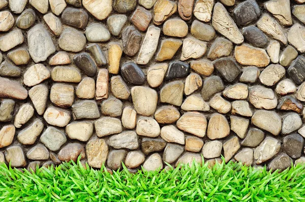 Gras frame op rotswand — Stockfoto
