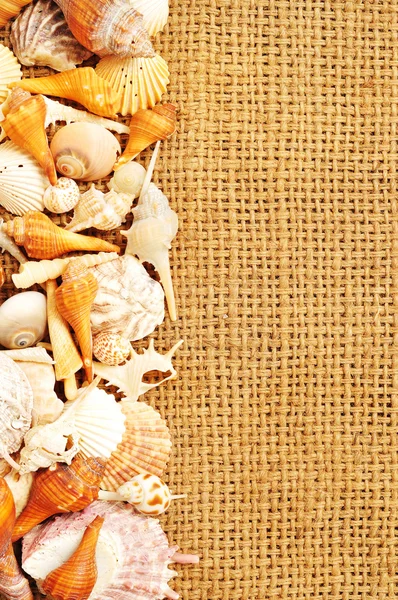 stock image Seashell frame on sack