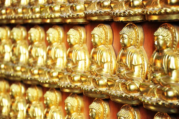 10000 goldene Buddhas — Stockfoto