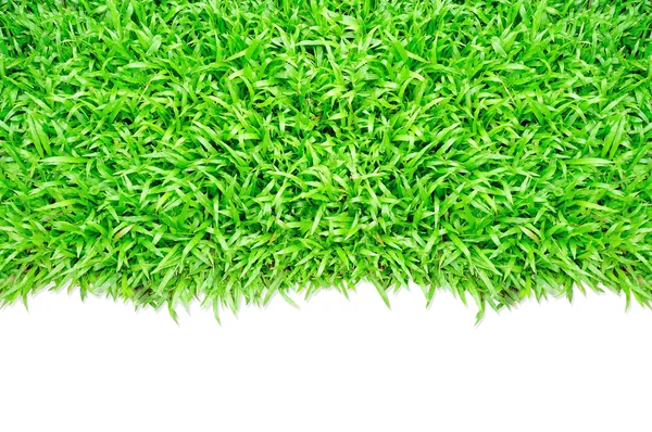 Rama trawy — Zdjęcie stockowe